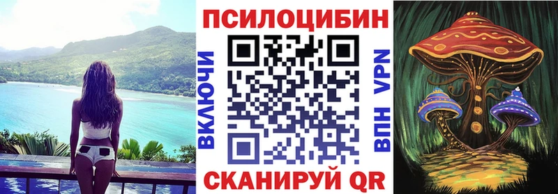 hydra вход  дарнет шоп  маркетплейс наркотические препараты  Псилоцибиновые грибы Psilocybe  Печоры 