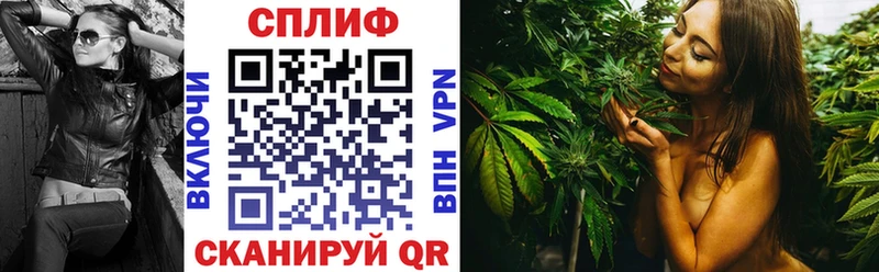 где купить наркоту  Печоры  Канабис индика 